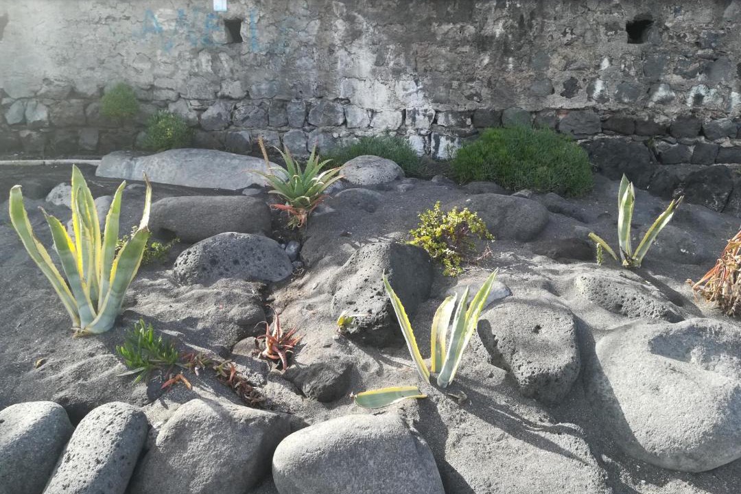 Photo of Others in Picanello-Ognina-Barriera-Canalicchio
