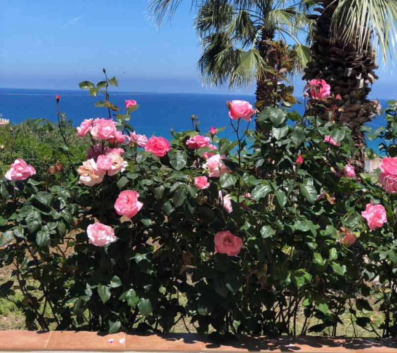 Photo of Outdoor in Alcamo Marina