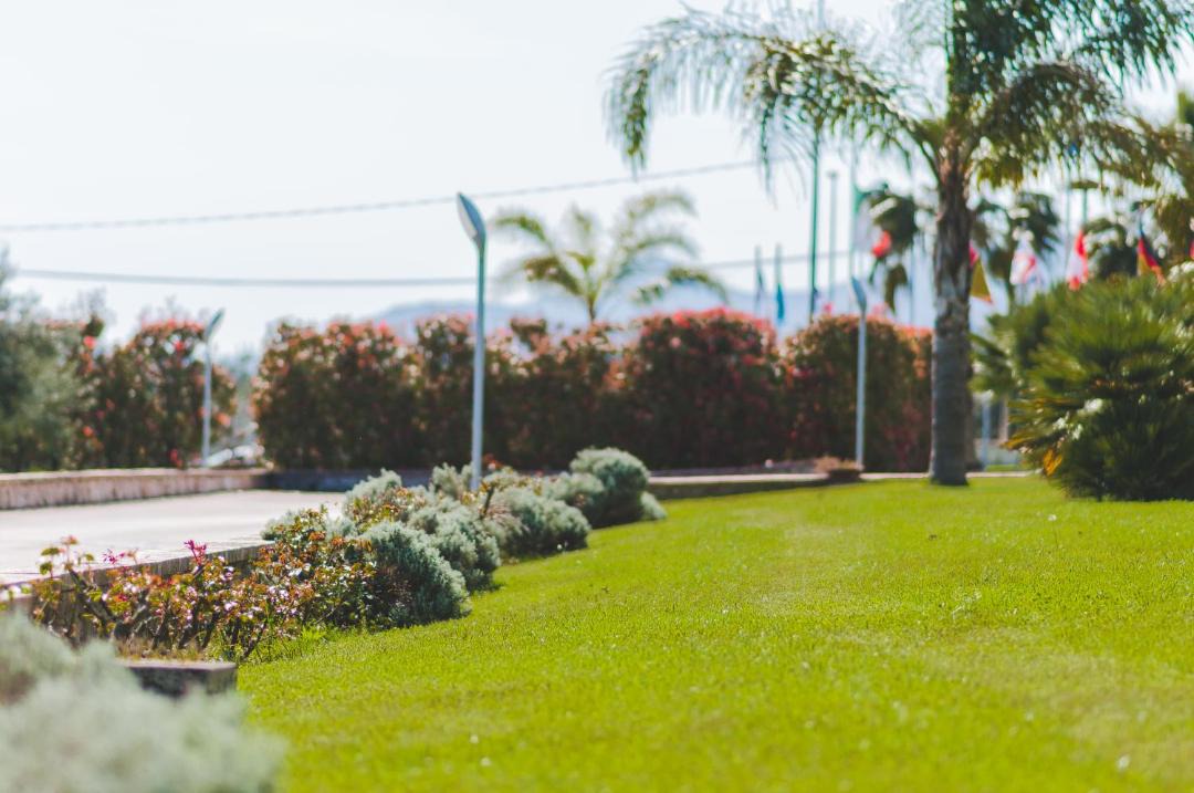 Photo of Others in Formia