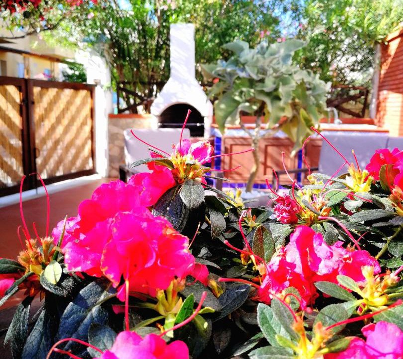 Photo of Patio Balcony in Marinella di Selinunte