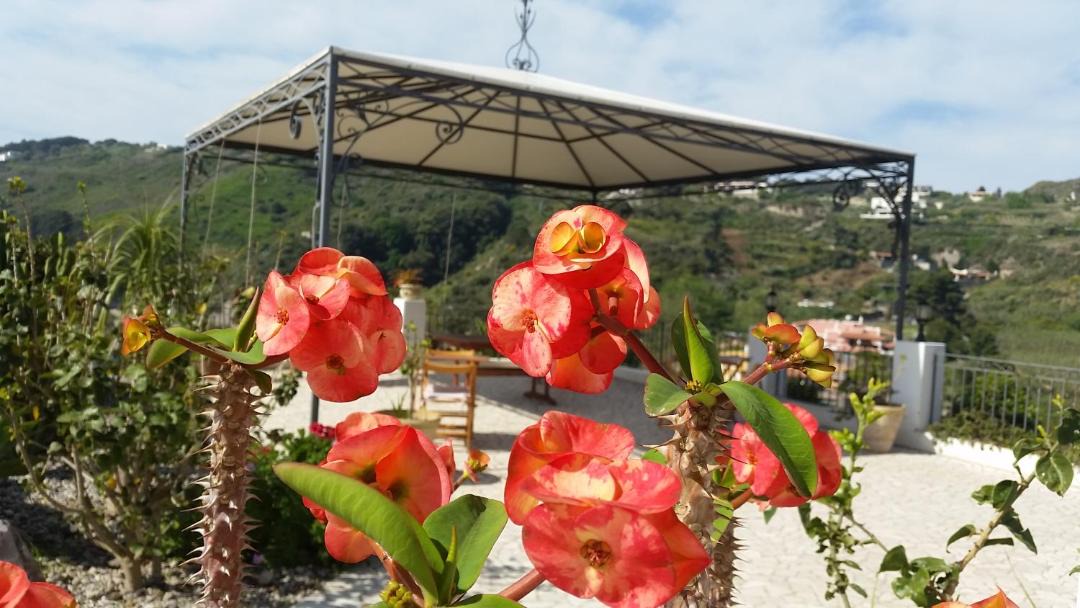 Photo of Others in Lipari