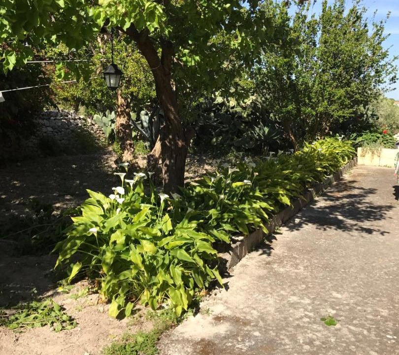 Photo of Others in Modica