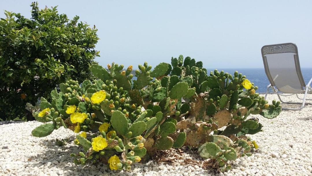 Photo of Others in Santa Tecla