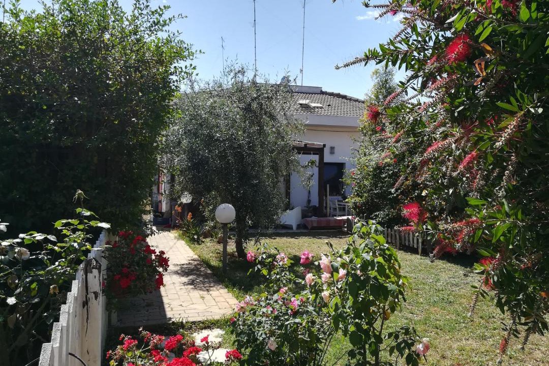Photo of Others in Tiche