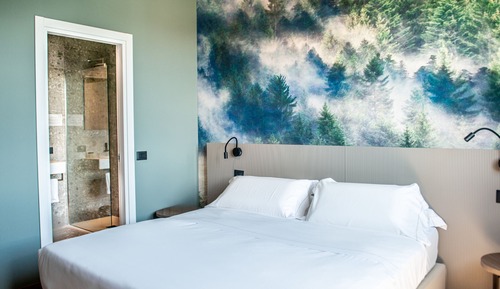 Superior Double or Twin Room, Lake View