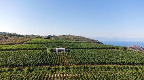 Villa with Sea View