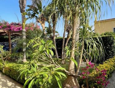 Vacation Home