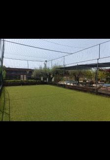 Ricadi Apartment | Villa Daisy
