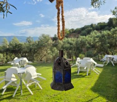 Petrizzi Bed & Breakfast | Santo Re Olive Retreat