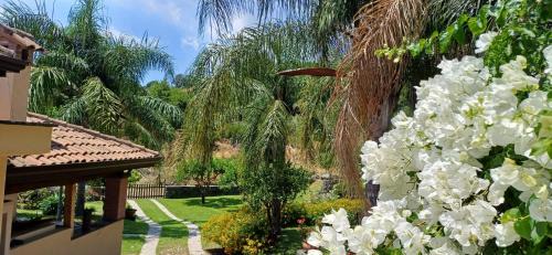 Santa Venera-Portosalvo Apartment | Casa dell'antico ulivo