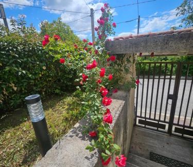 Avezzano Villa | Villa Laura app 2