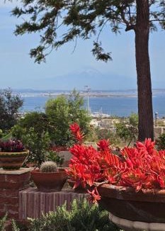 Tiche Bed & Breakfast | Case Gallo B&B