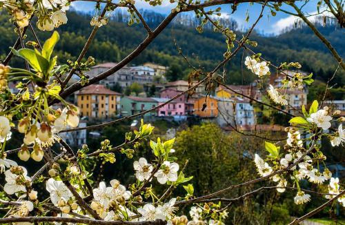 Bianchi House | Casa vacanze "Ellen" - AAUT
