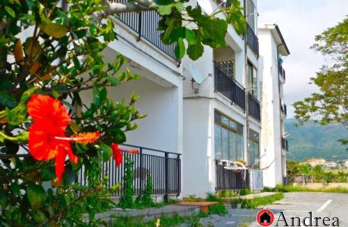 Grisolia Apartment | Casa COMER GRISOLIA