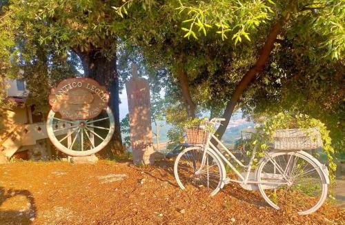 Stroncone Apartment | Antico Leccio Orange