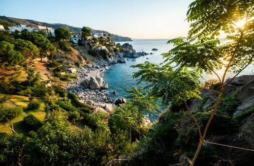 Caminia Villa | Villa Alcado