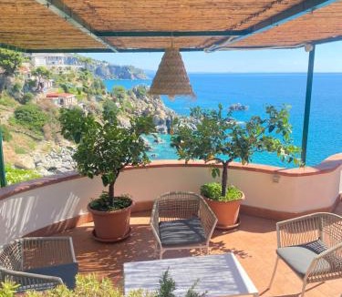 Caminia Villa | Villa Alcado
