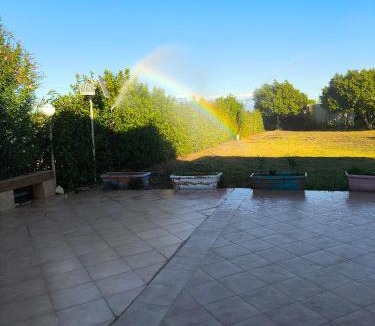 Scordia Bed & Breakfast | Butterfly Room