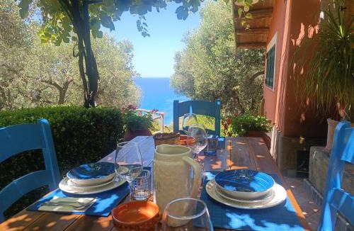 Coccorino Villa | Villa Gemma