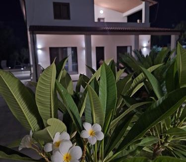Trappeto House | La Marina Pool Villa