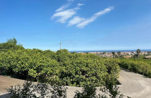 Fiumefreddo di Sicilia Villa | Villa Iulia Hills