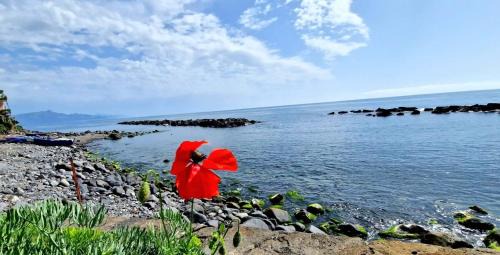 Coste Apartment | onde dell'etna 12
