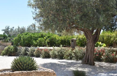 Rilievo House | Cocci di tufo Appartamenti