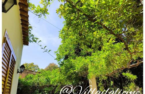Vulcano Porto Bed & Breakfast | Villa il Glicine