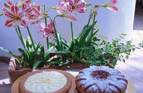 Palermo Bed & Breakfast | B & B Villa Flora