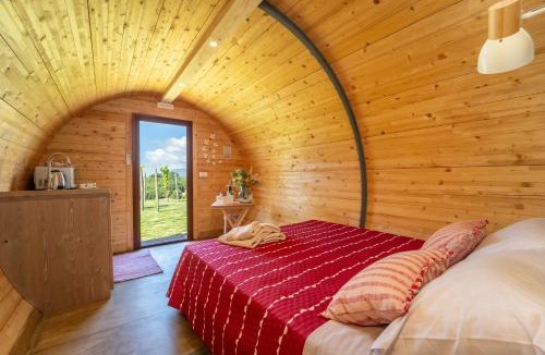 Marzi Bed & Breakfast | Dormire in una botte - Antiche Vigne Pironti