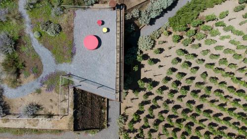 Quattropani Resort | Tenuta di Castellaro Winery & Resort