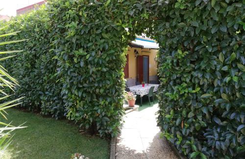 Sant'Antonio Abate Apartment | Appartamento in villa con Piscina riservata in uso esclusivo