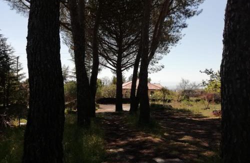 Nicolosi Bed & Breakfast | Etna Country Home