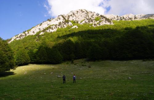 Viggianello Apartment | Tana di Zia Nature, Yourself, Love