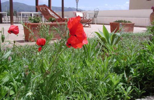 Lingua Hotel | Hotel A Cannata