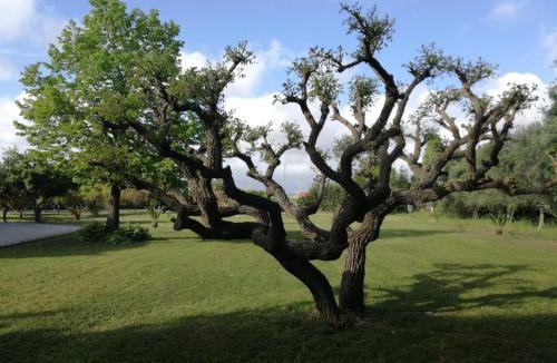 Battipaglia Bed & Breakfast | B&B Villa Napoli