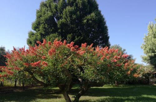 Battipaglia Bed & Breakfast | B&B Villa Napoli