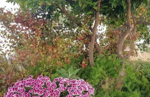 Realmonte Bed & Breakfast | Home Scala dei Turchi B&B