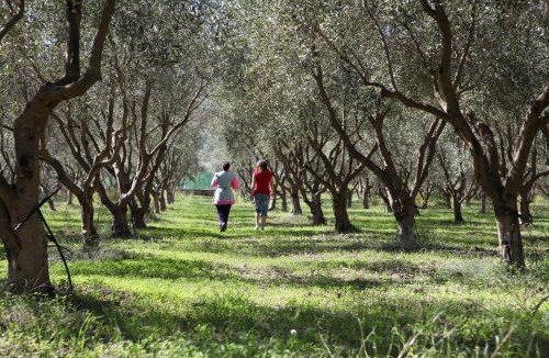 Cimina House | Agriturismo A'Sena-Runcatini
