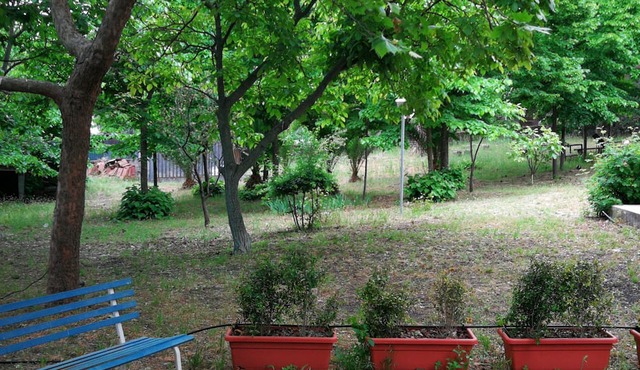 Apartment in villa with large park in the main street of Nicolosi