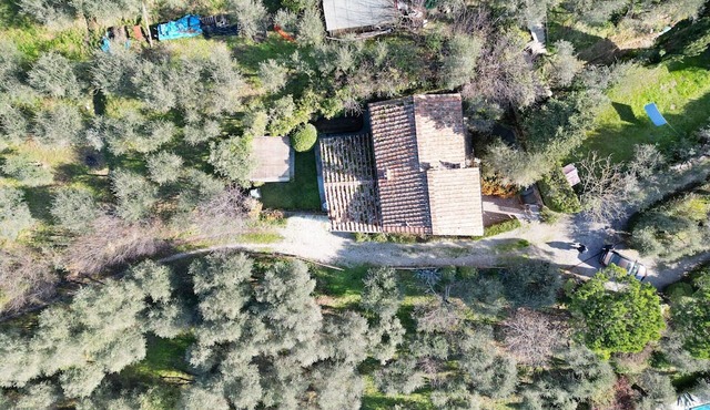 Wonderful private villa for 10 guests with WIFI, private pool, TV, panoramic view and parking in Lucca