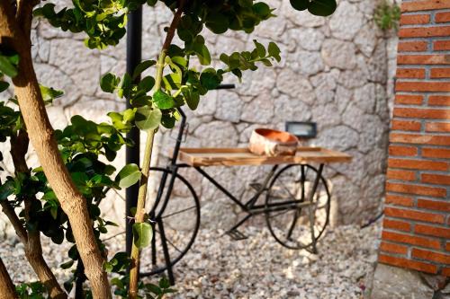 Tenuta Bellassai