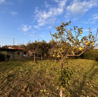 Zefiro retreat zambrone