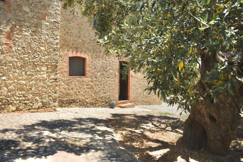 Azienda Agrituristica Le Puzelle