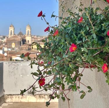 Terrazza Sant'Agata Penthouse